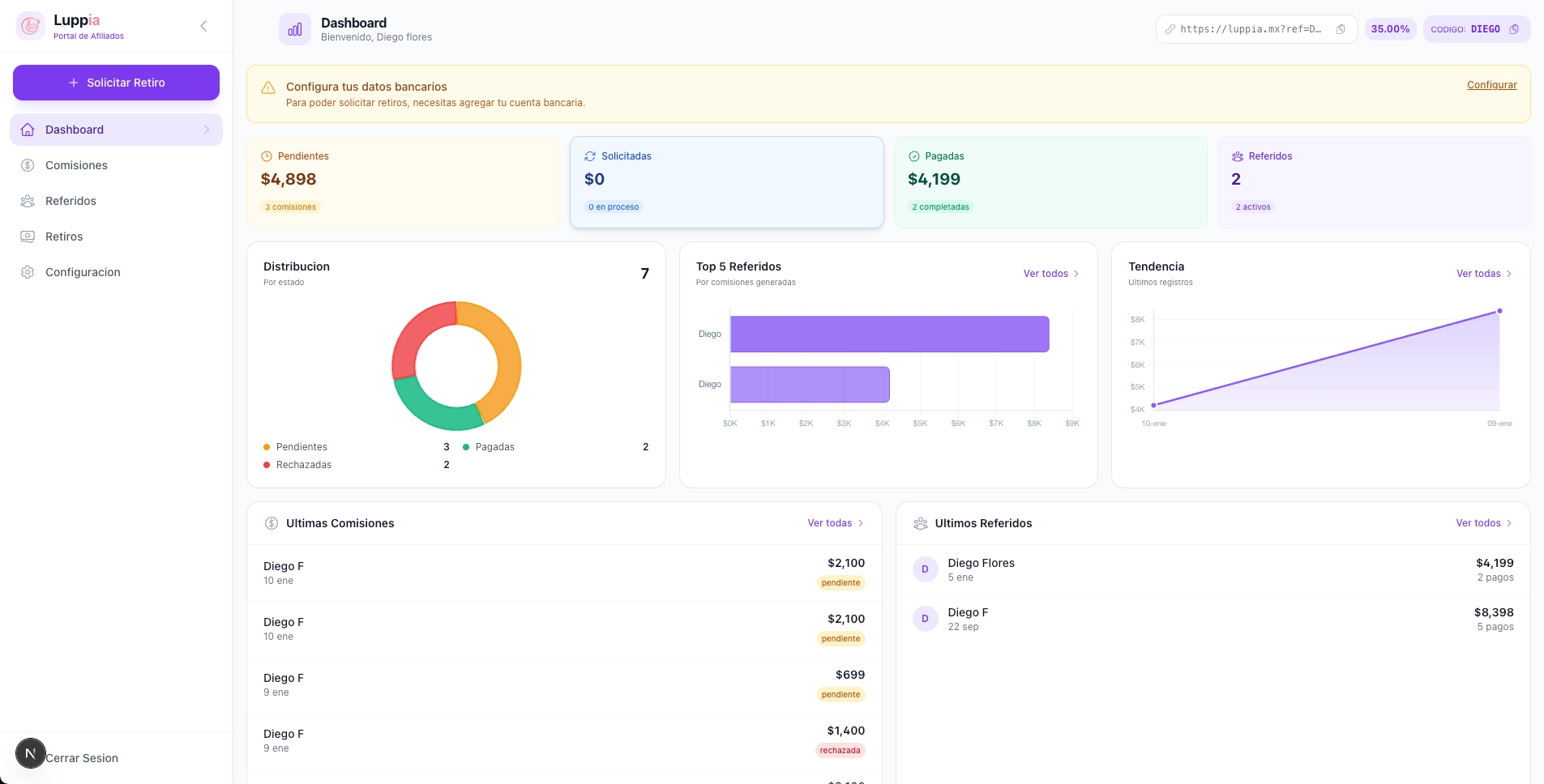 Panel de control de afiliados Dubsaria